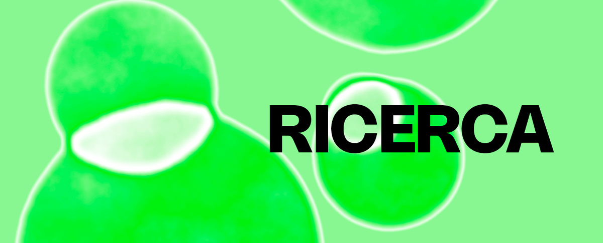 Immagine grafica che introduce la pagina di ricerca