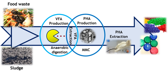 BIOPLASTIC FROM WASTE