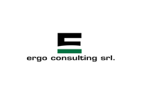 ergo consulting