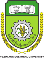 YAU