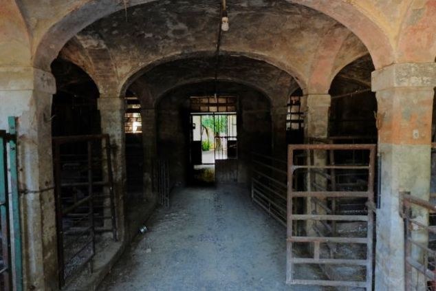 Fantoni Farm