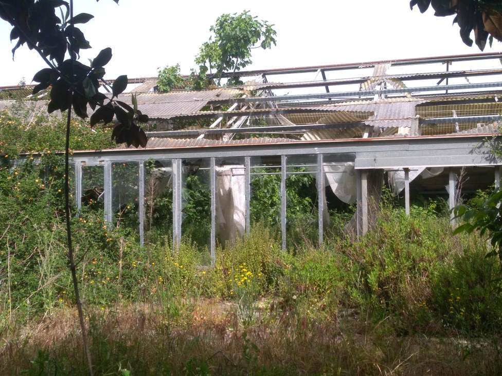 Troisi Park
