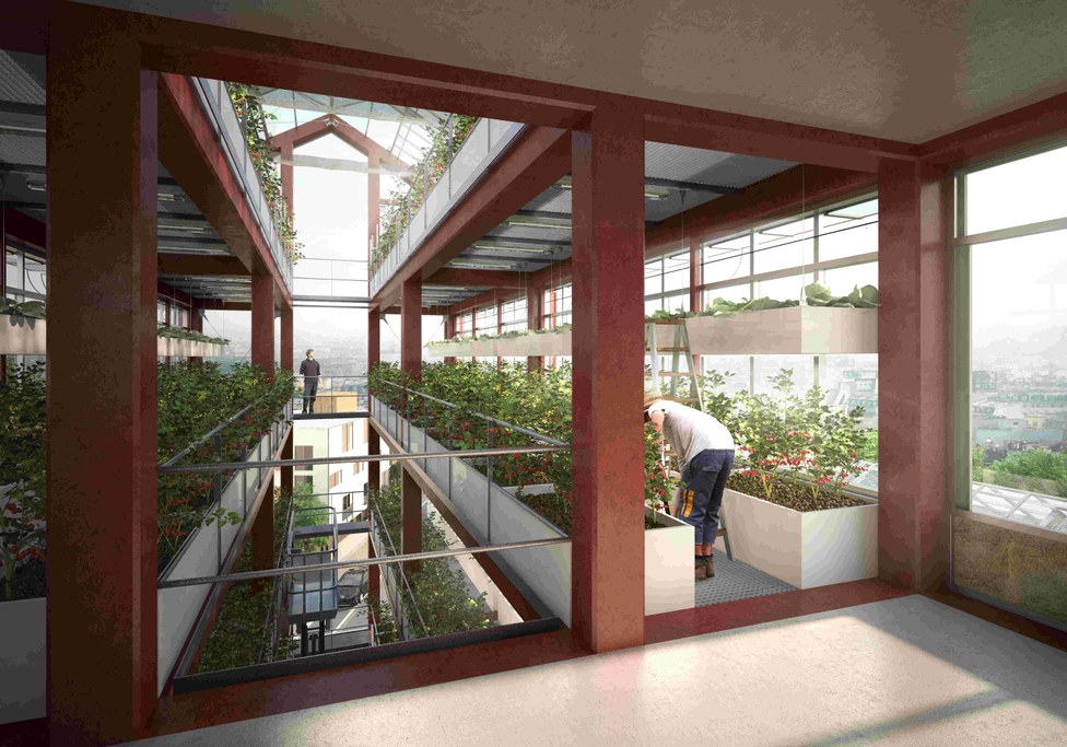 Cité Maraichere rendering