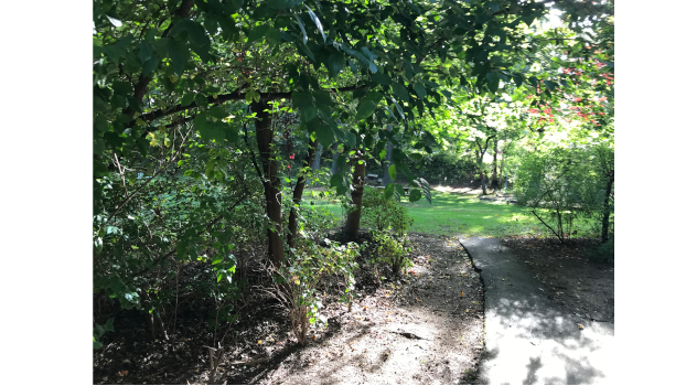 Solberga garden