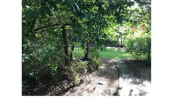 Solberga garden