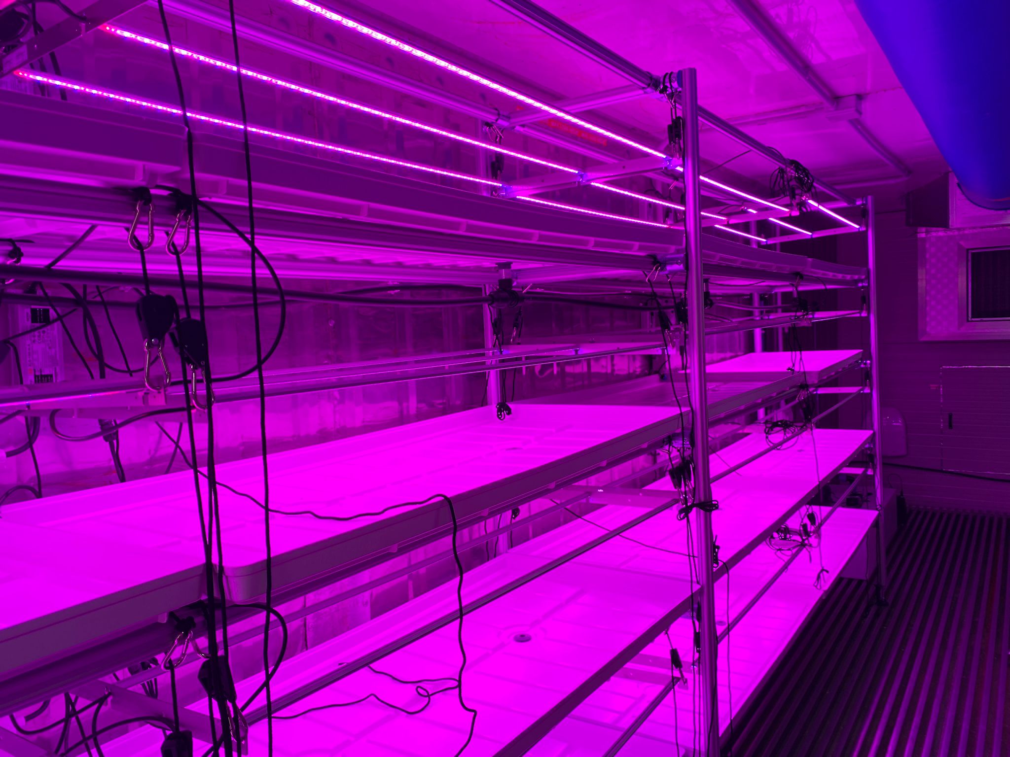 Inside the container farm