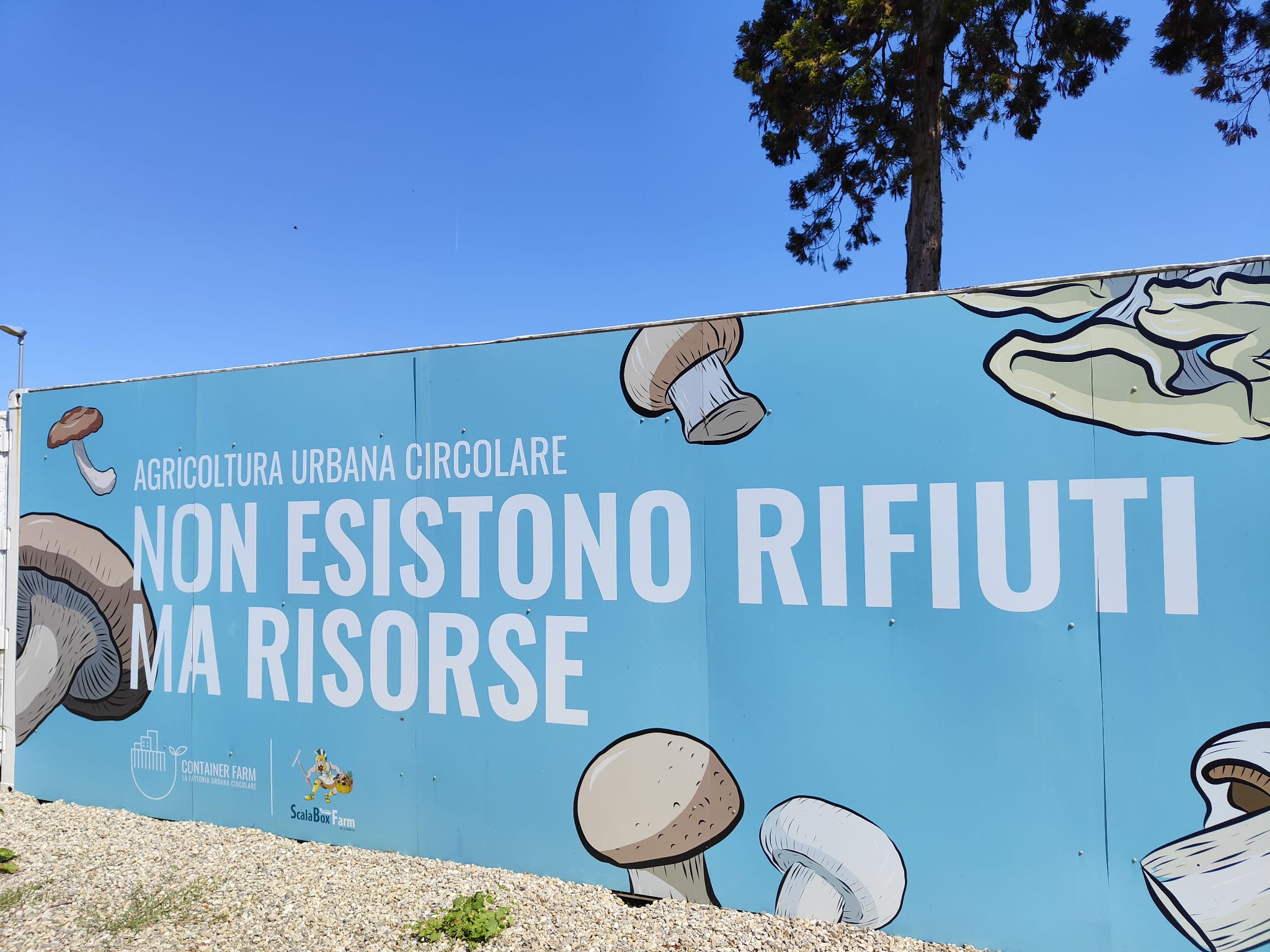 esterno del container farm